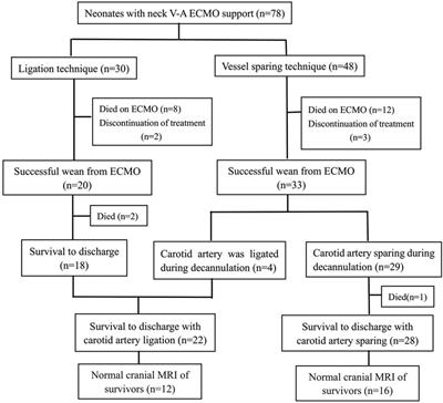 Veno-arterial extracorporeal membrane oxygenation for respiratory and cardiac support in neonates: a single center experience
